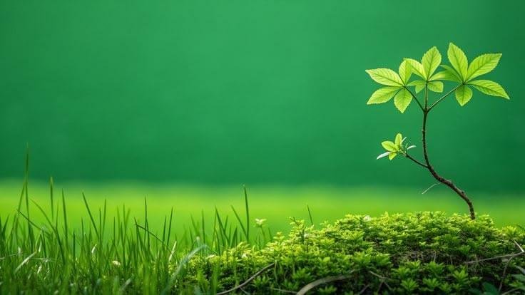 A young sapling rising from mossy grass against a lush green field